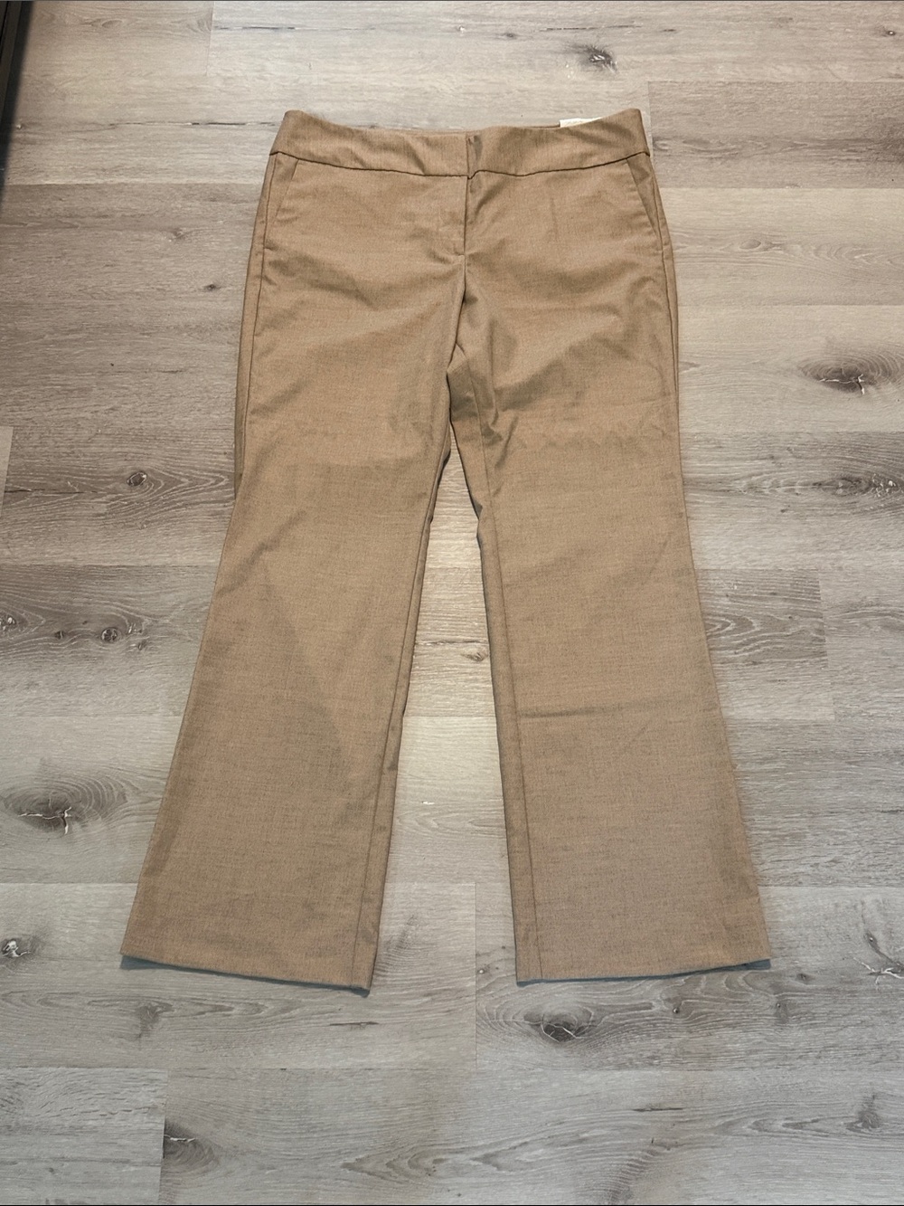 Ann Taylor Tan/Brown Dress Trousers
